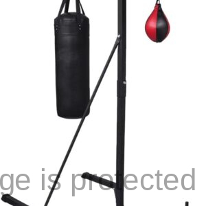 Punching Bags & Speed Balls