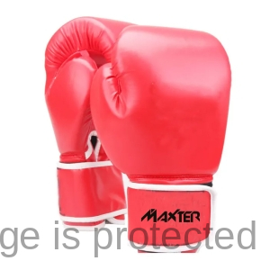 Boxing Gloves