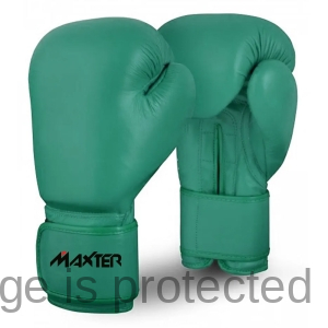 Boxing Gloves