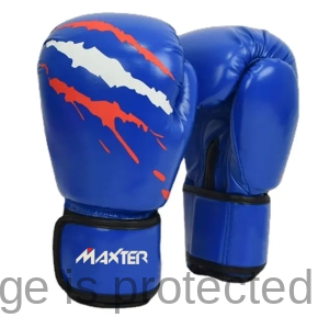 Boxing Gloves