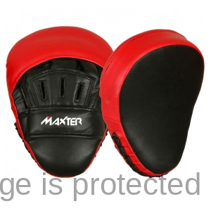 Coaching Mitts