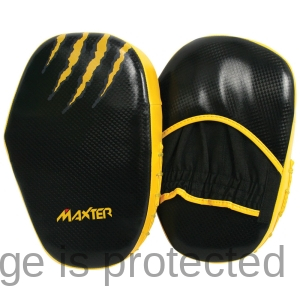 Coaching Mitts