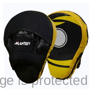 Coaching Mitts