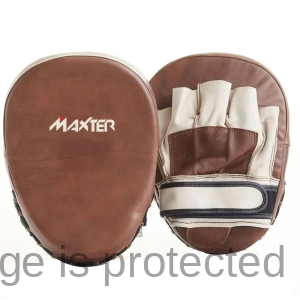 Coaching Mitts