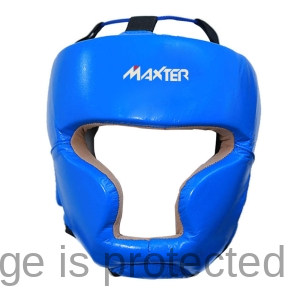 Head Guards