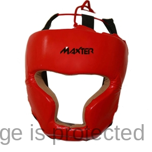 Head Guards