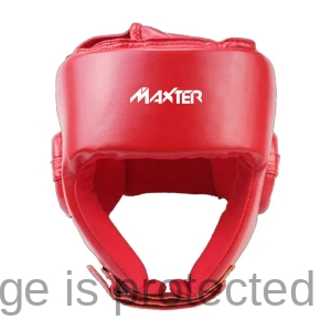 Head Guards