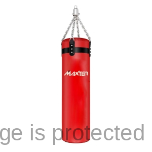 Punching Bags