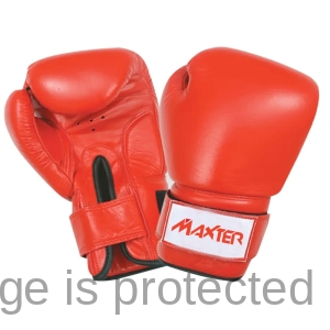 Bag Gloves