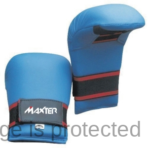 Karate Mitts