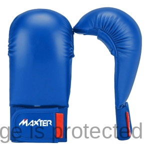 Karate Mitts