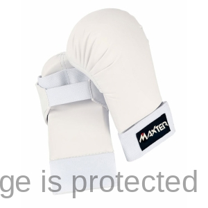 Karate Mitts
