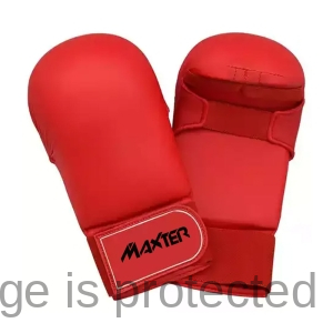 Karate Mitts