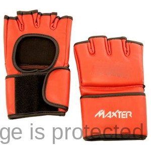 MMA Grappling Gloves