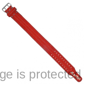 Weight Lifting Belts