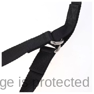 Ankle Lifter