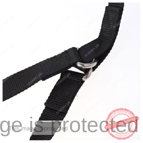 Ankle Lifter - Image 3